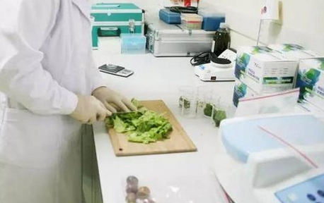 食品重金屬檢測儀，關(guān)注食品安全，防范重金屬危害